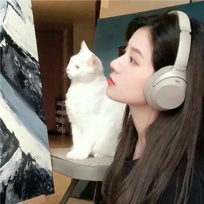 不只但总是